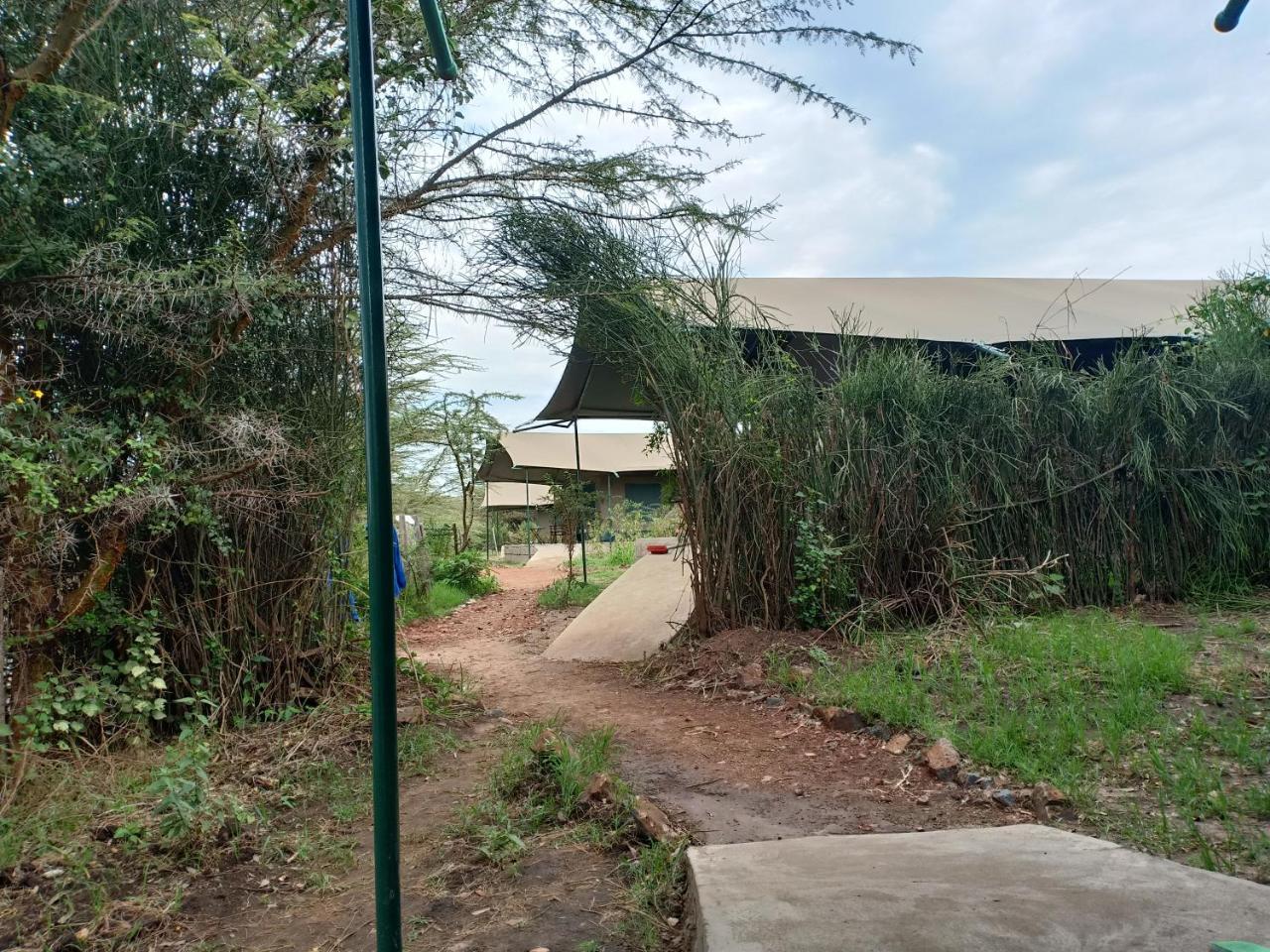 Mara Duma Bush Camp Hotel Talek Exterior foto