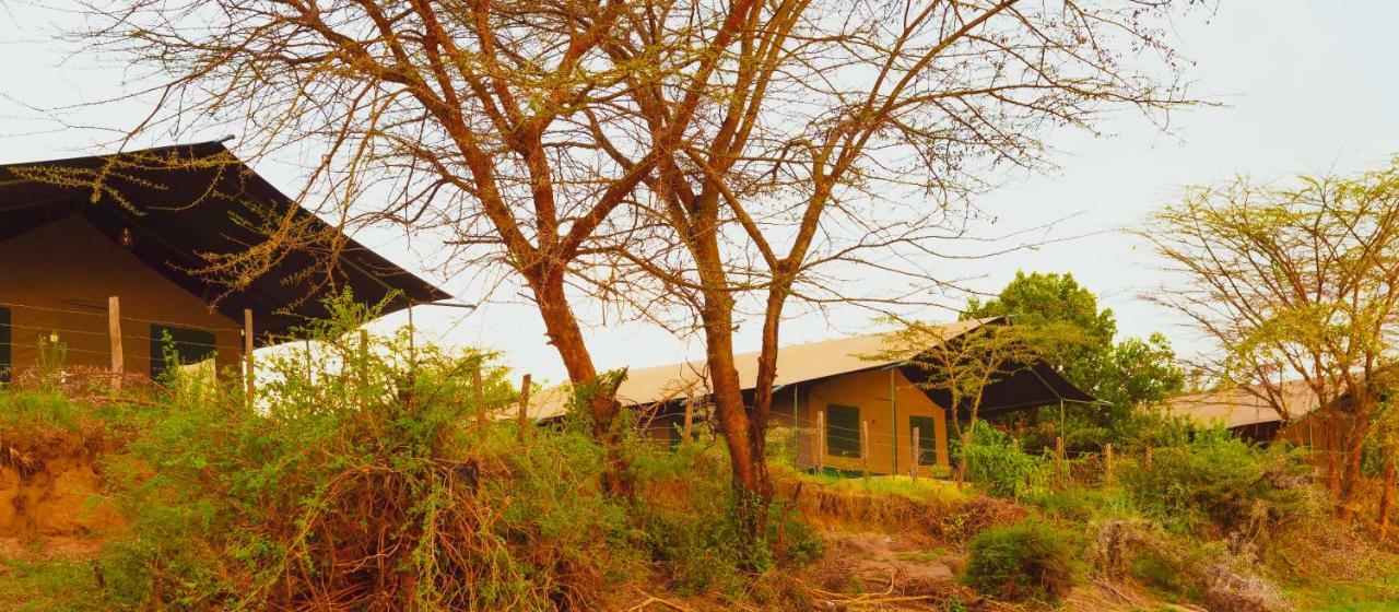 Mara Duma Bush Camp Hotel Talek Exterior foto